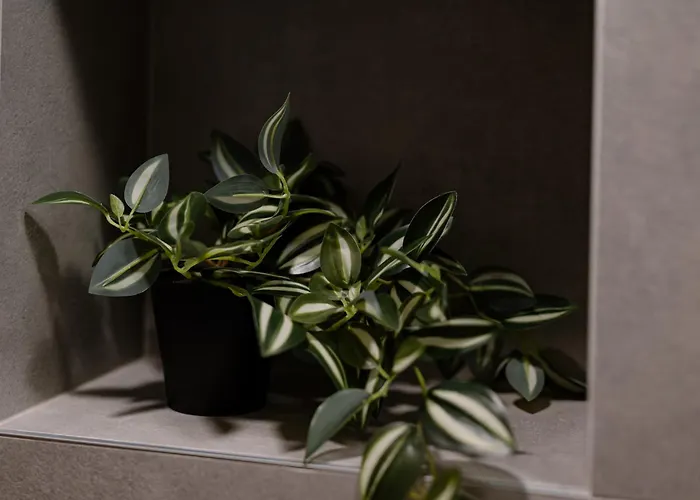 1 Minute To Main Street Grafa, Ndk, Free Parking, 3bdr *